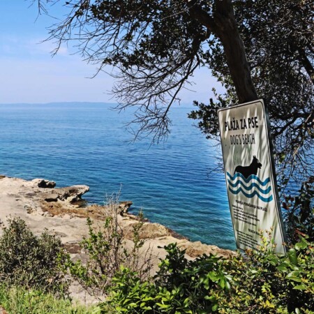Pelješac plaža za pse Trpanj - Croatia